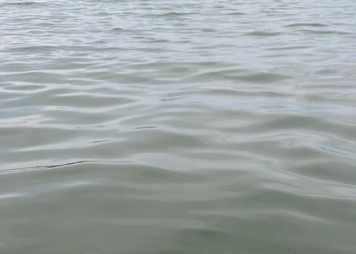 Dom Nyaralo Case de vacanță *